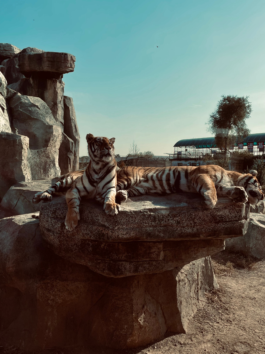 Открытым для посетителей стал с 1996г.