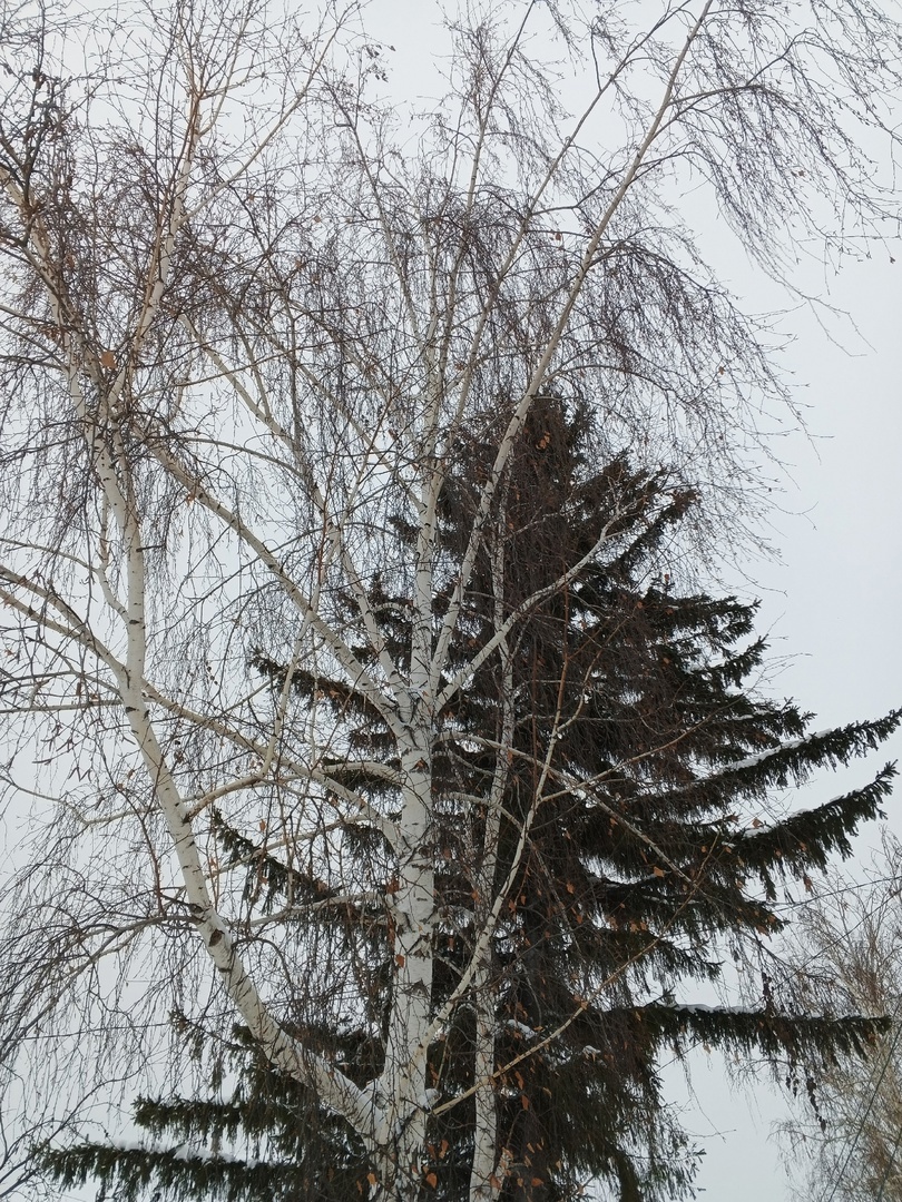 А на улице снова пасмурно!