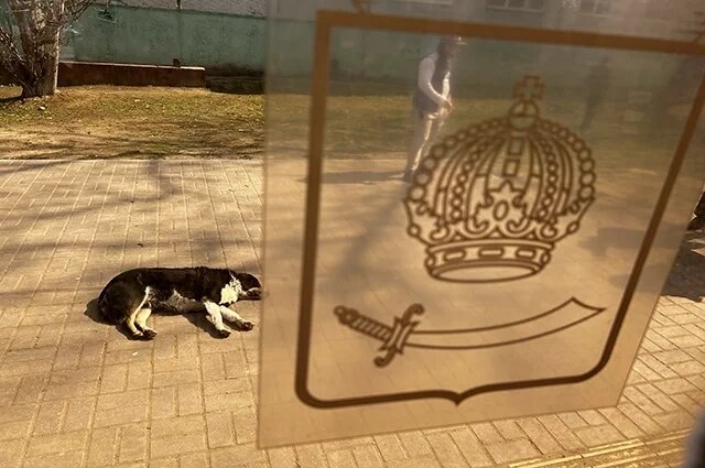    Сколько бродяжек в Астраханской области?