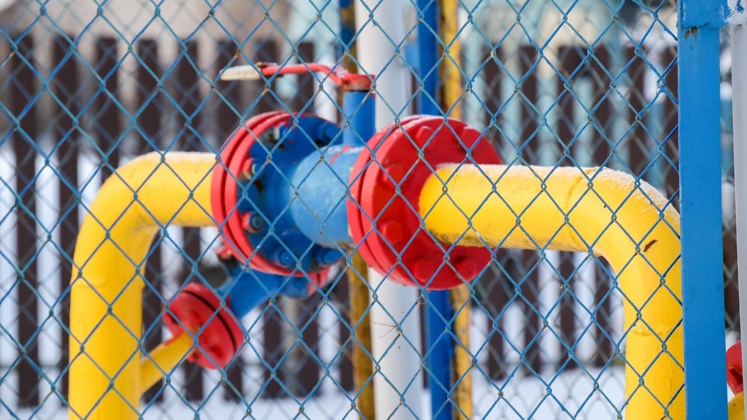    Фото: Elena Mayorova/Globallookpress