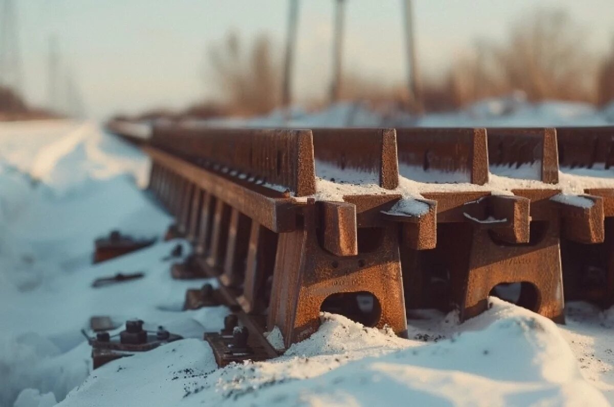    Вахтовики из Хакасии похитили две тонны рельсов в Хабаровском крае