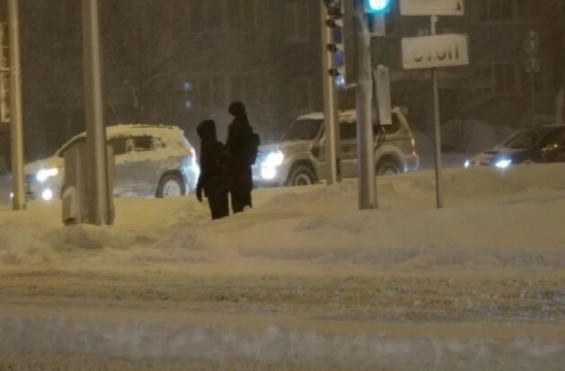    Сильная метель в Южно-Сахалинске Фото: «АиФ-Сахалин»/ АиФ
