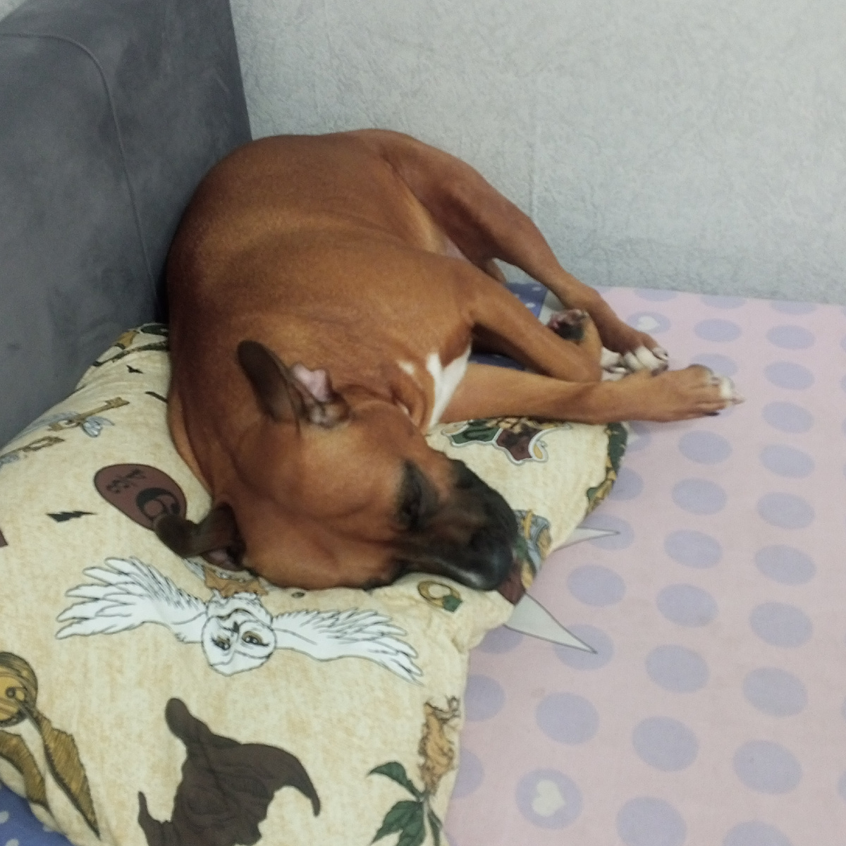 Тоже Адель.  