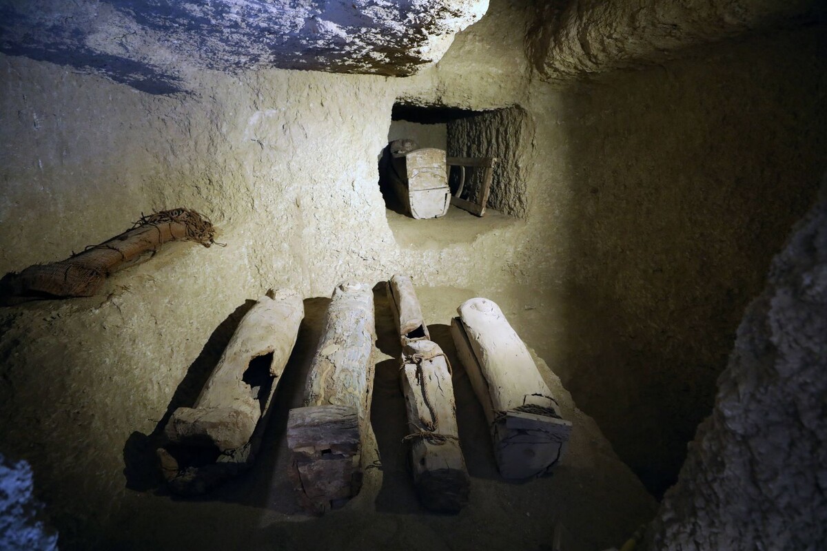     / Источник: © IMAGO/Matrix Images / Khaled Elf/Global Look Press