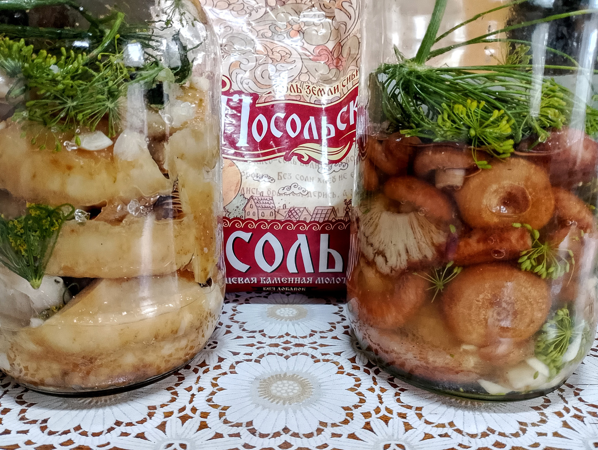 фото автора, первый опыт в солении грибов