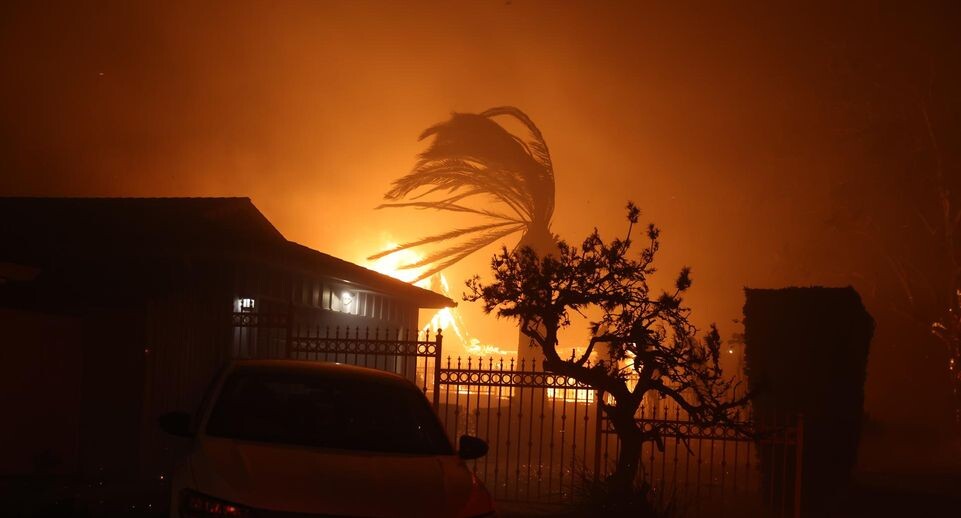    Qiu Chen/XinHua / Global Look Press