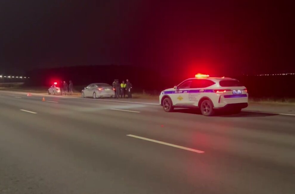    Фото: ТГ-канал Госавтоинспекции Пермского края Полина Анкушина