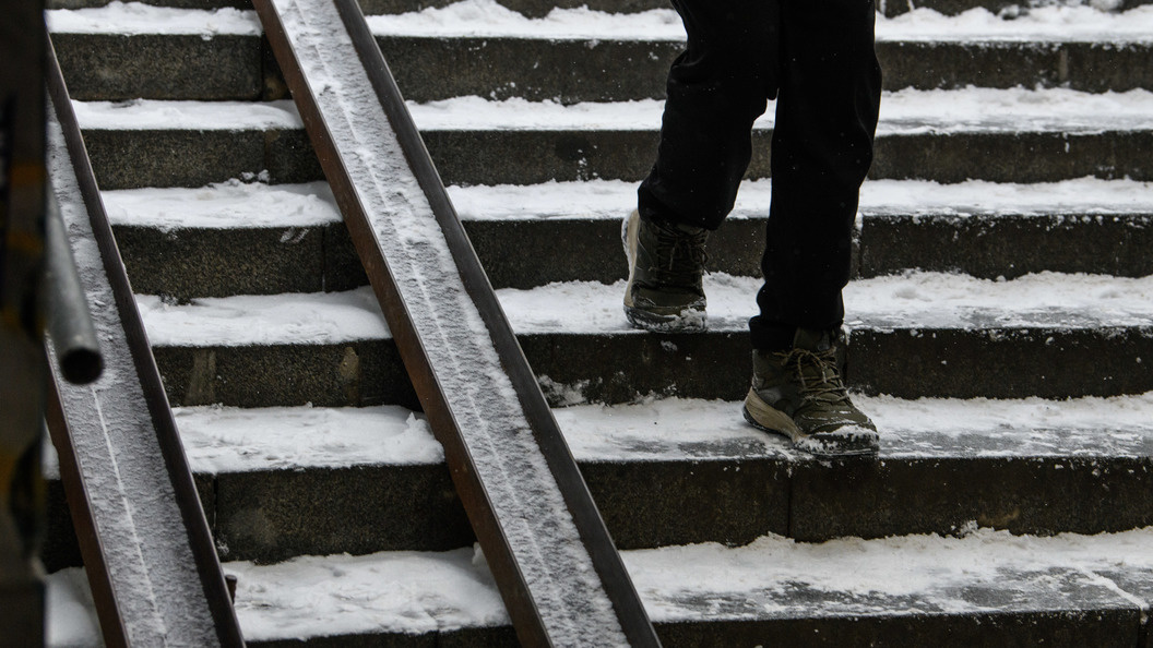    Фото: Ilya Moskovets/Globallookpress