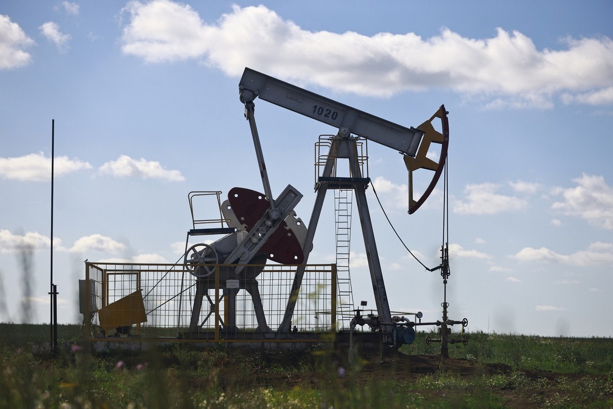 Автор фото: Павел Хацаюк / ИД «Вечерняя Казань»