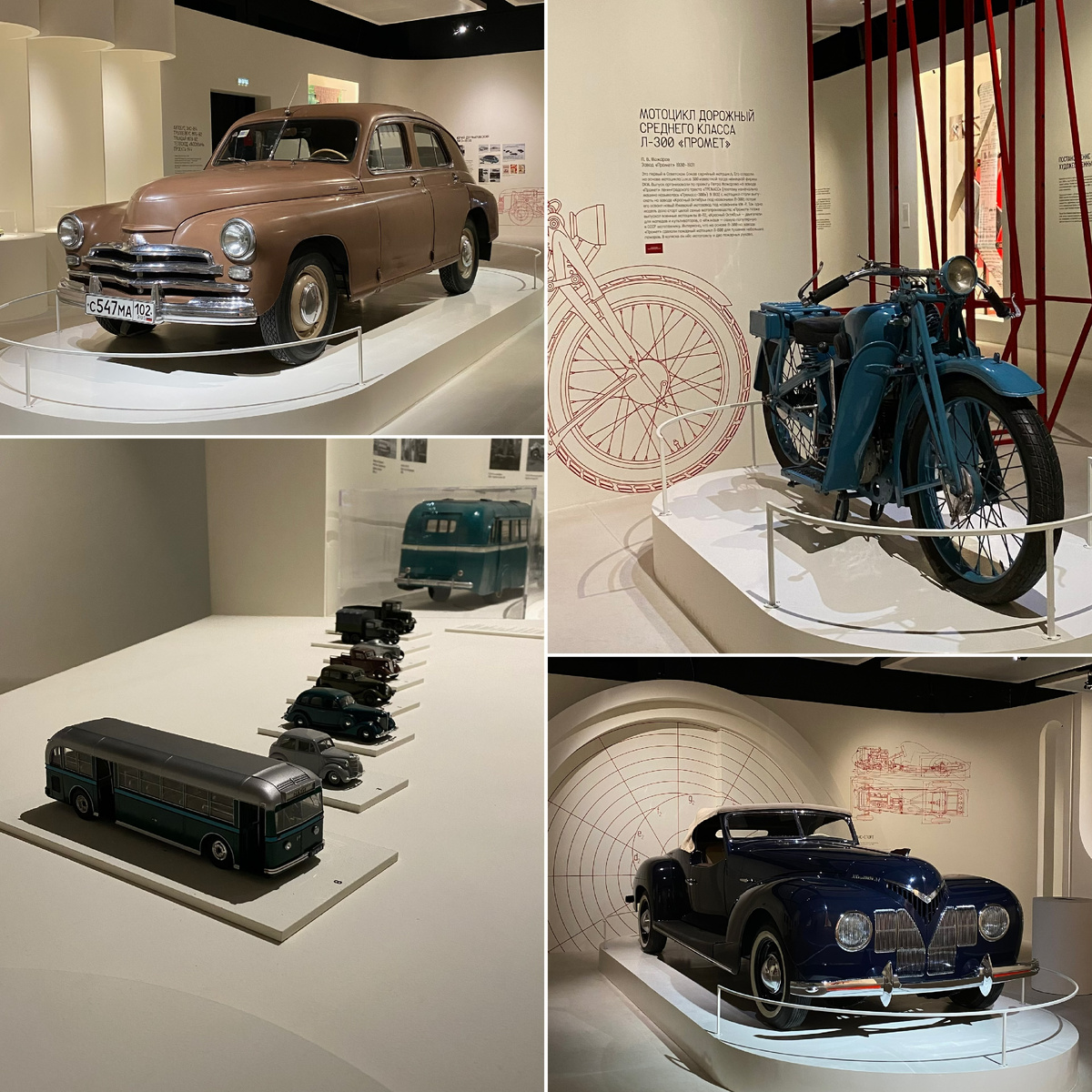 Фото автора канала. Выставка «Ты выглядишь на все 100!».