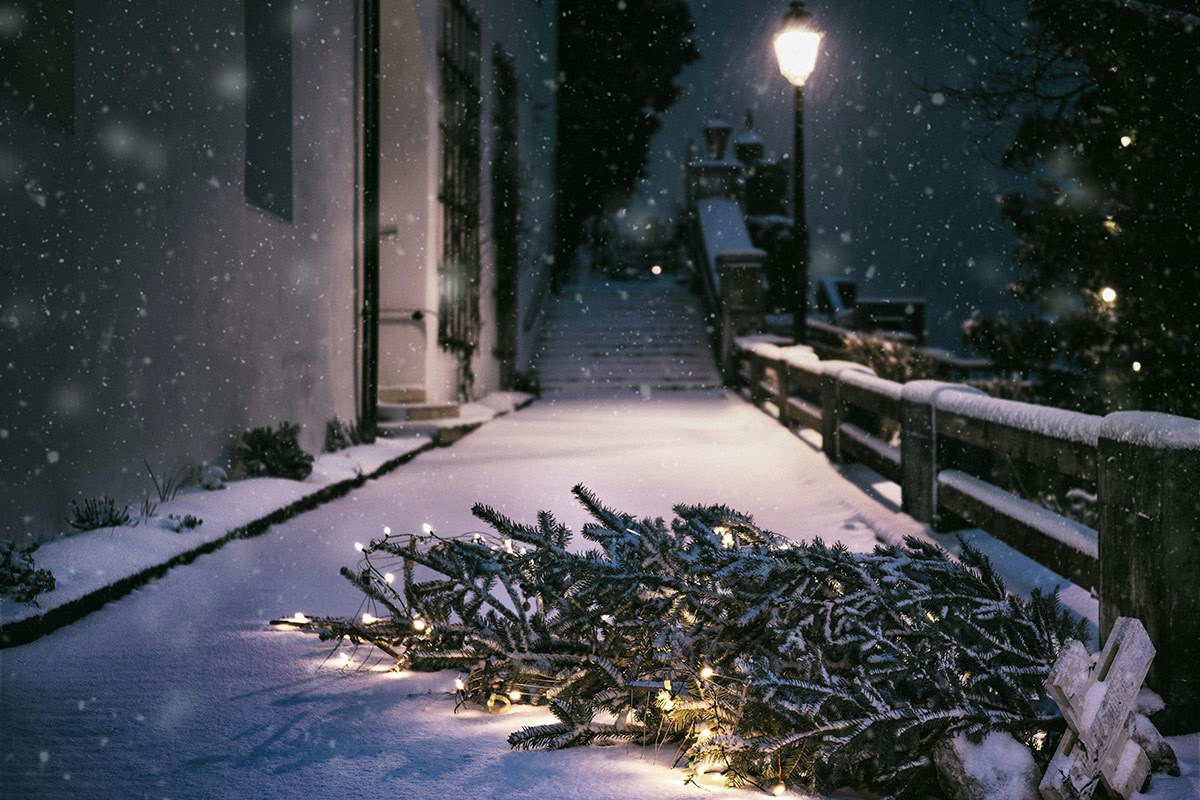    Фото: Simon Berger / Рexels.com