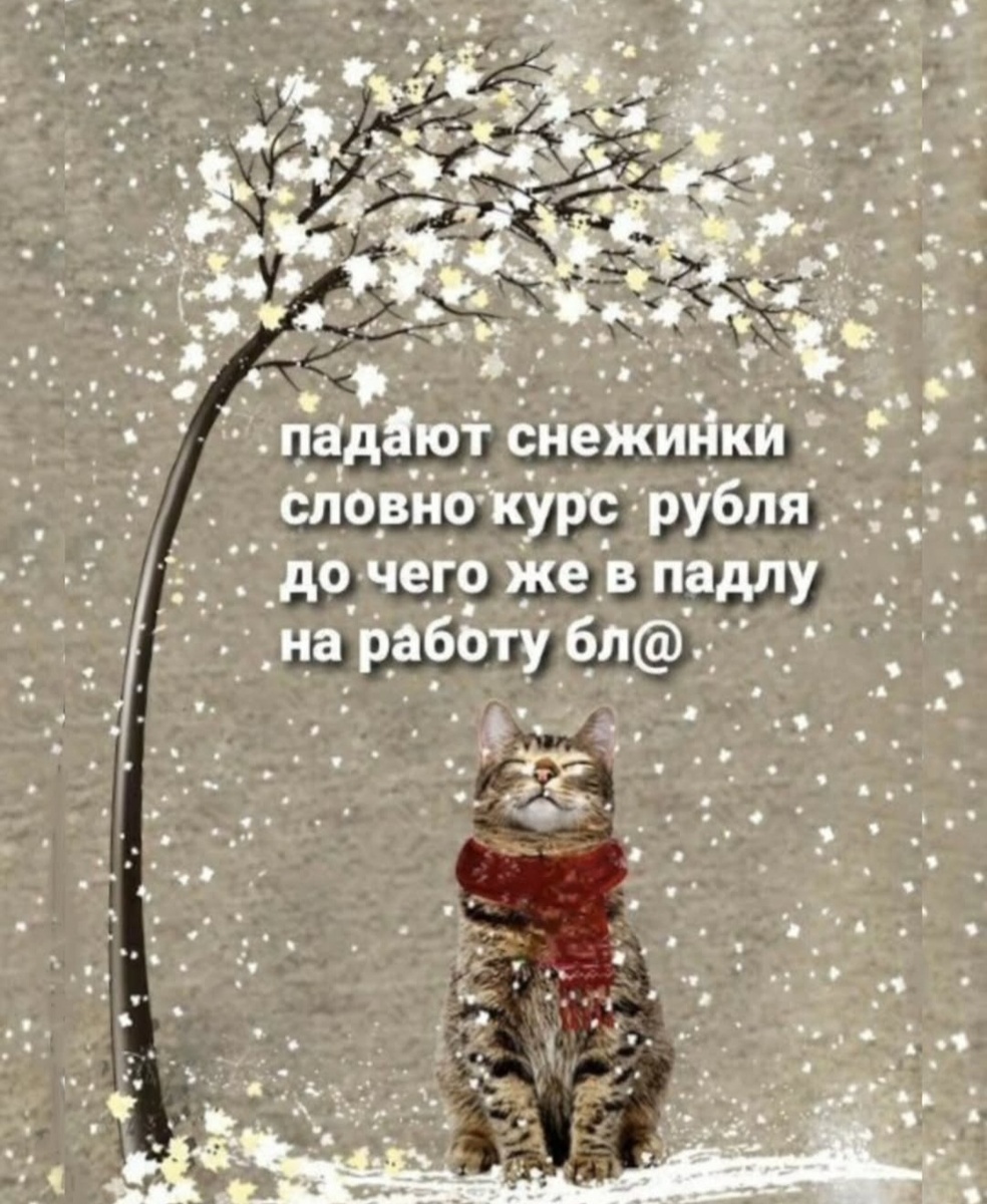 Фото из интернета 