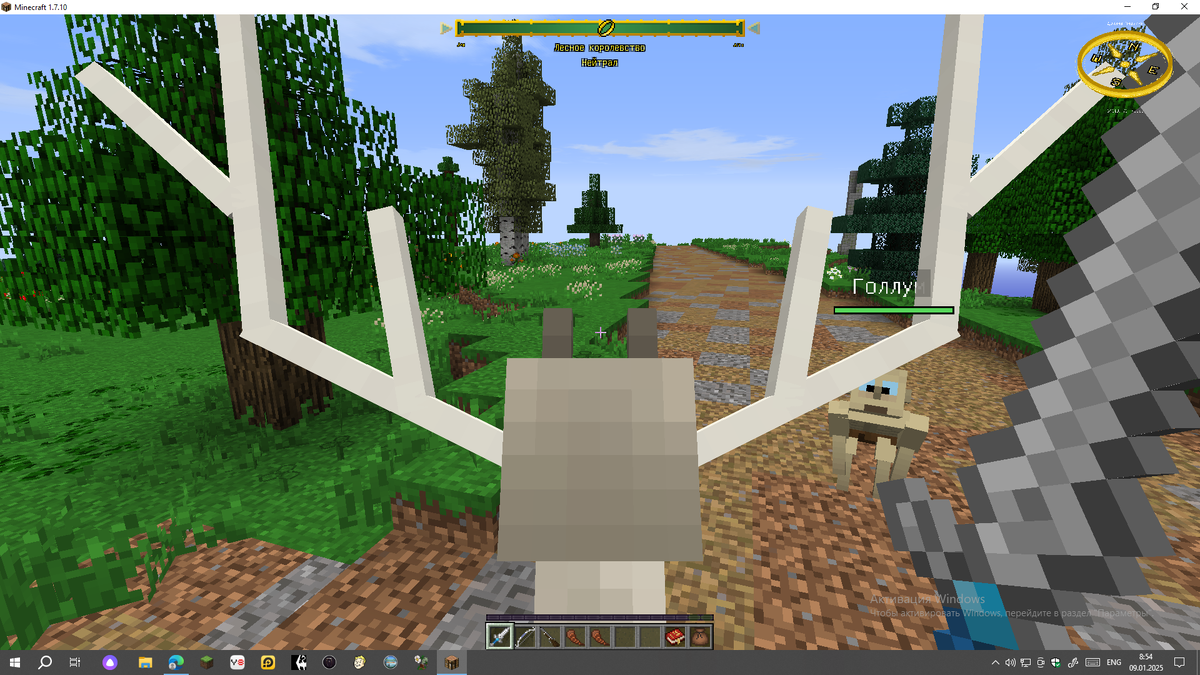 Долина Андуина