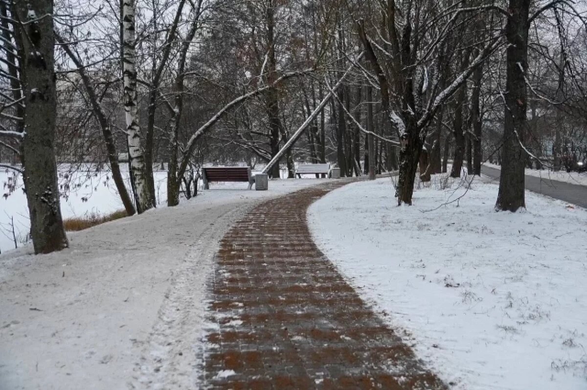    Циклон принесёт мокрый снег и гололед в Петербург в первую рабочую неделю