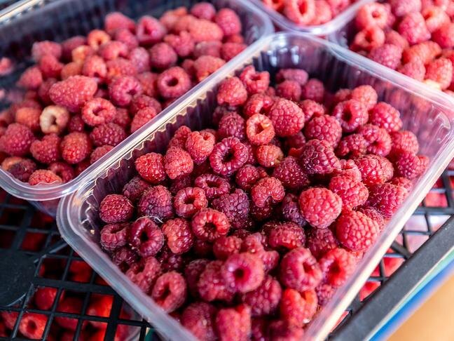 Фото: Алексей Дацковский (архив)