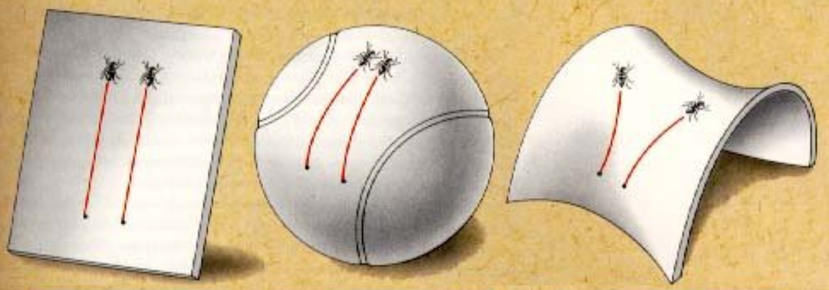 Геометрия поверхности