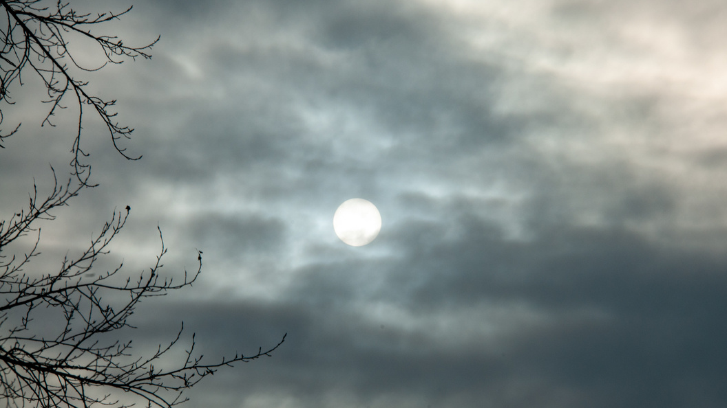    Svetlana Vozmilova/Globallookpress