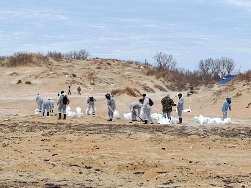    Фото: admkrai.krasnodar tamannews