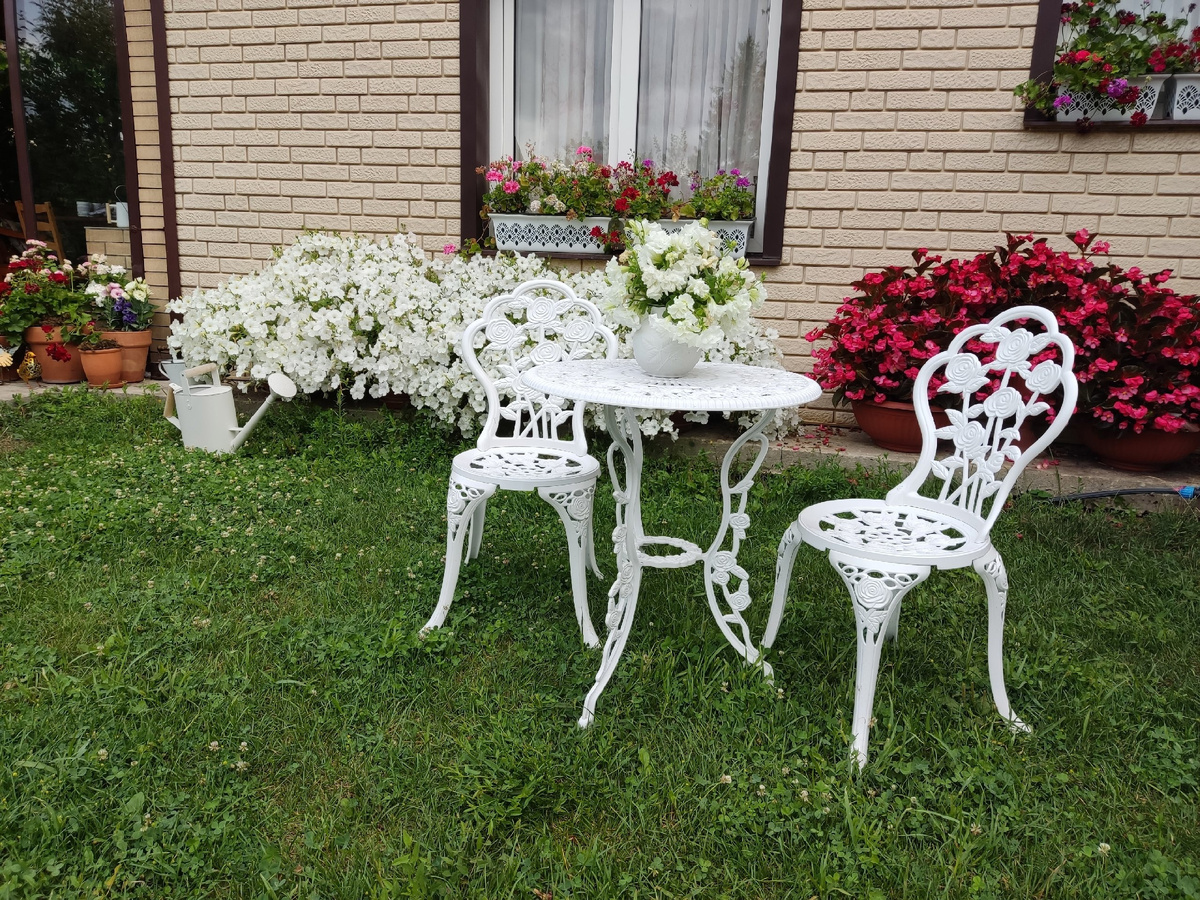 Бегония, которая всегда бросается в глаза, даже если фотографируешь другое