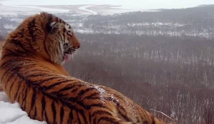    Источник фото:
