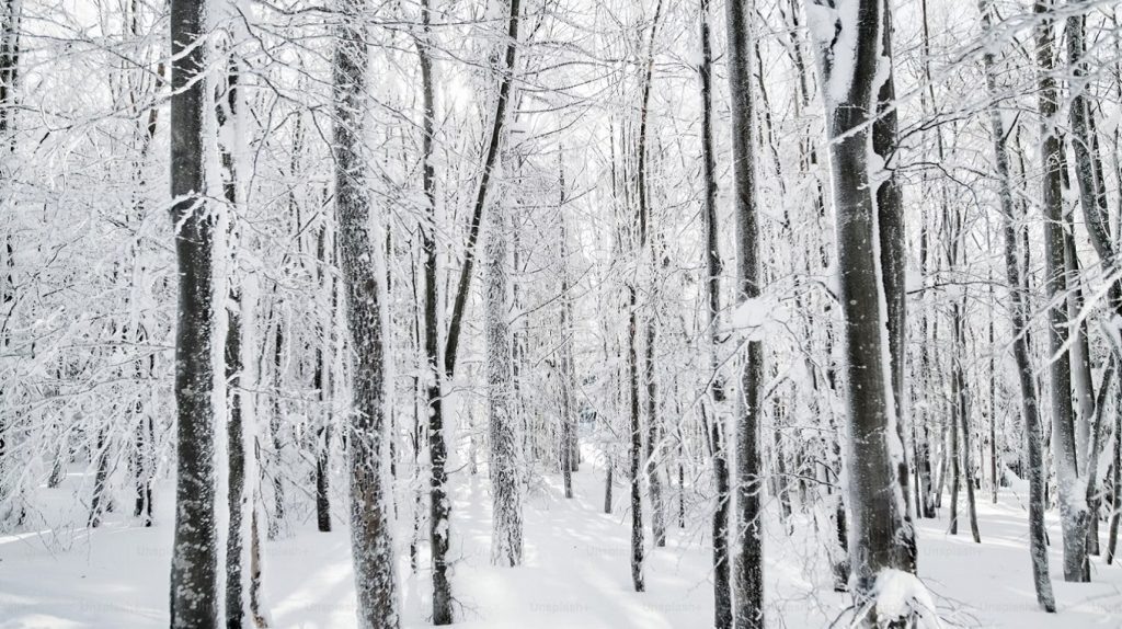     8 вдохновляющих и мудрых цитат для начала года Елена Исупова