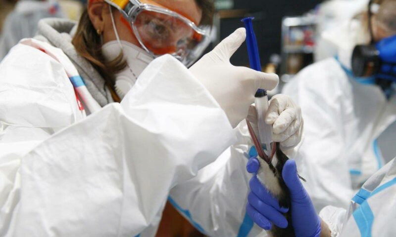    Фото t.me/opershtab23