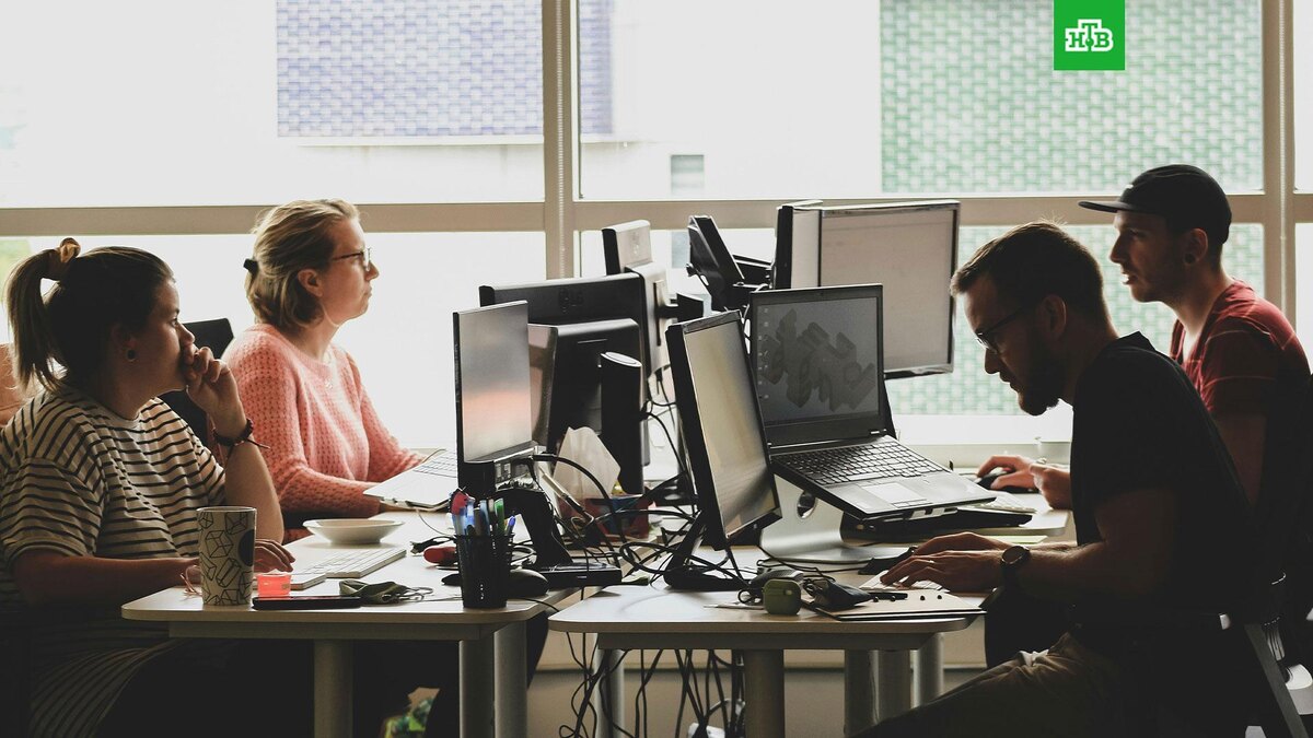    Фото: Sigmund / unsplash.com