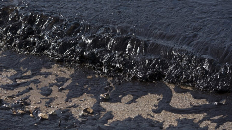    Фото: pchela.news