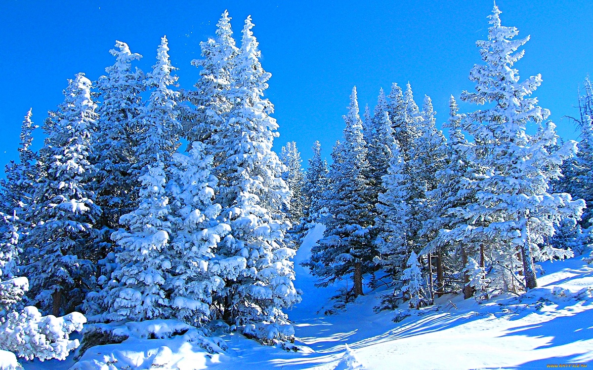 Фото взято из интернета.