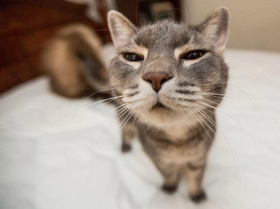 - Кому "нельзя", а кому мать родна!