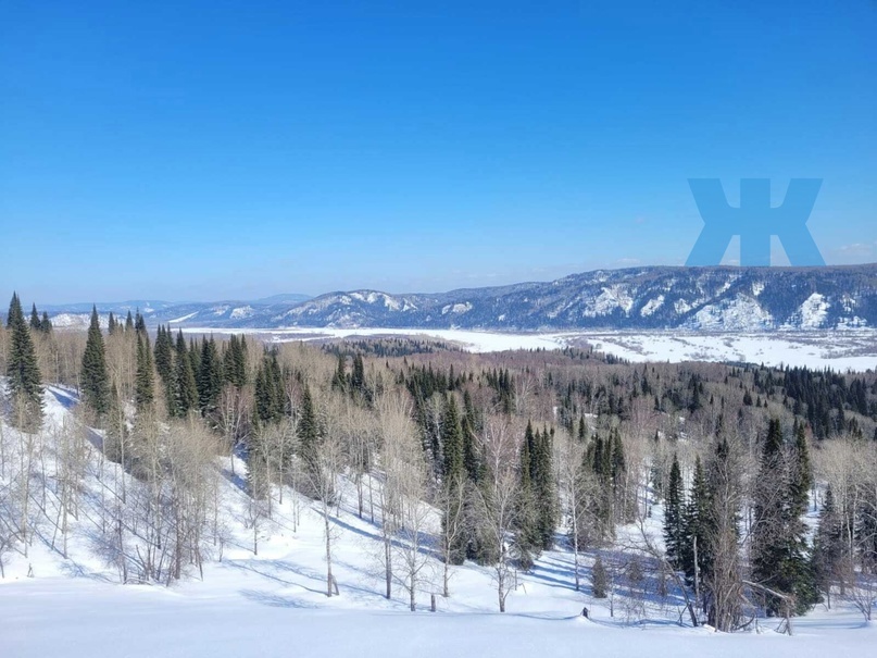 Источник: открытые интернет-ресурсы