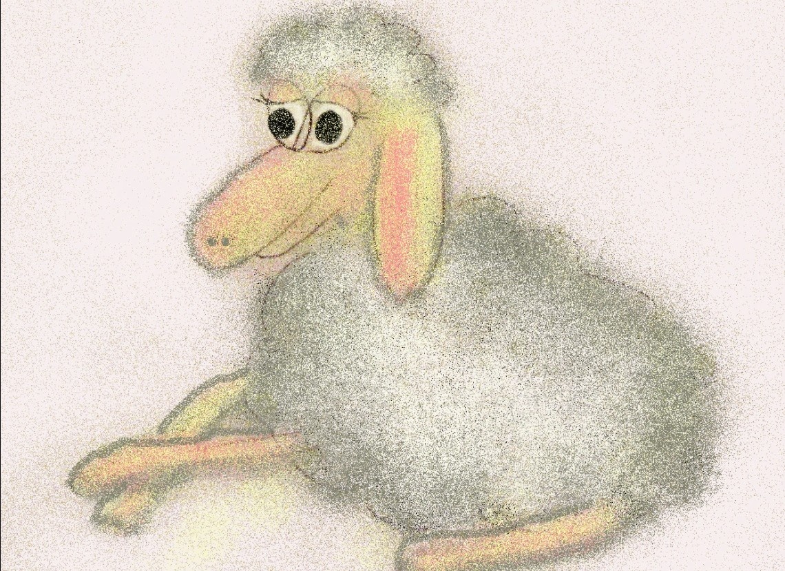 Типичная "бедная овечка" (фото из открытых источников)