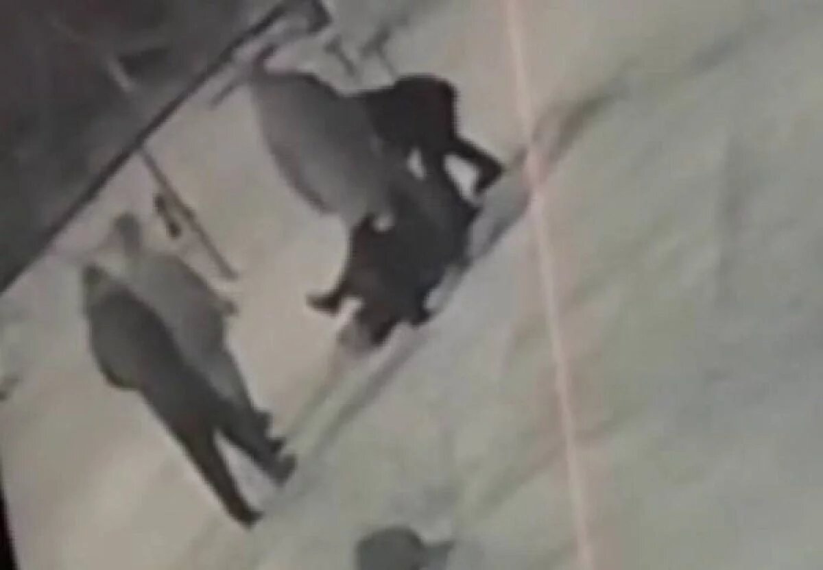    После нападения подростков на мужчину в Новый год в Улан-Удэ завели дело