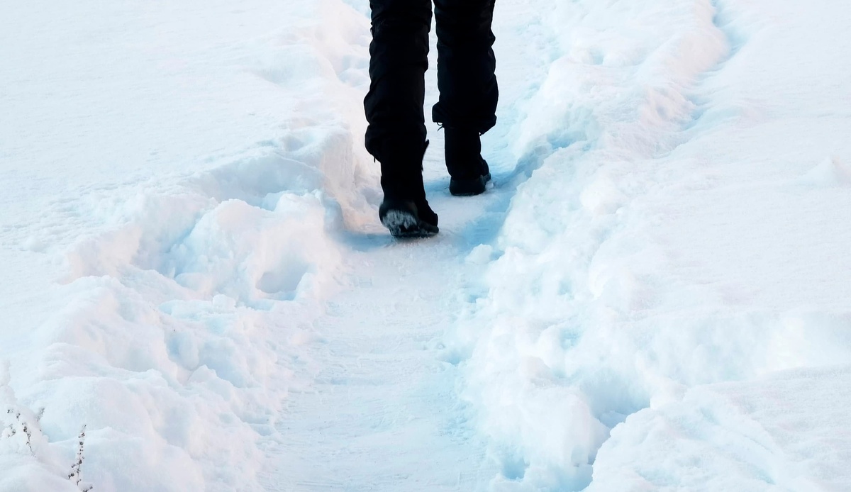    Фото: ГТРК Карелия