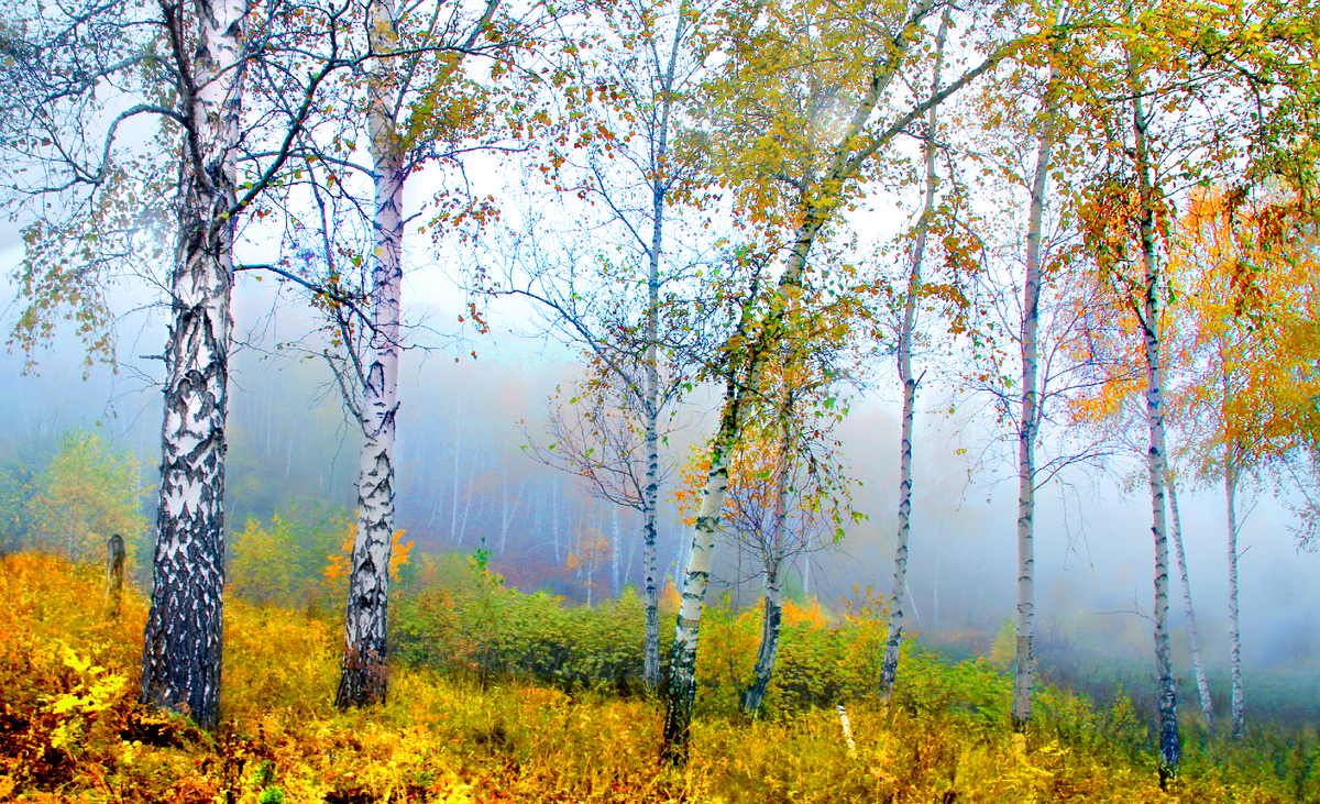 Фотография, стихотворение Василия Глуцкого