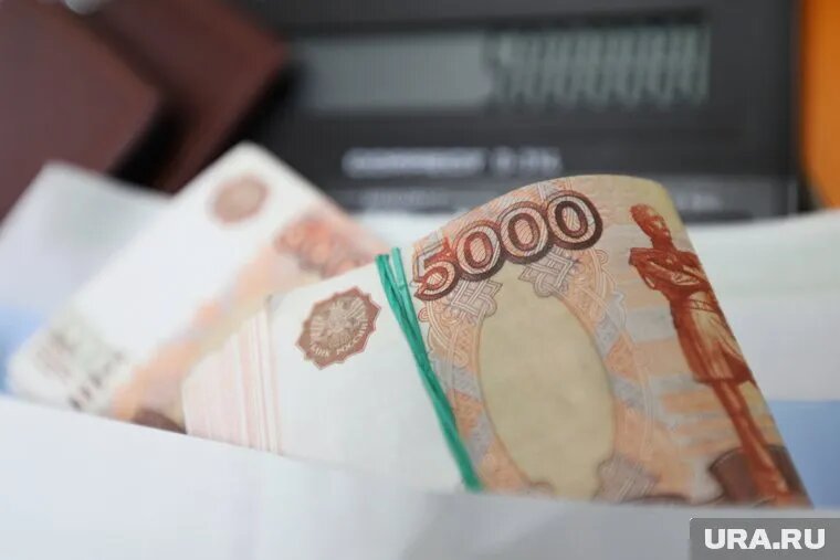 Прокуратура добилась выплаты зарплаты 66 работникам лесоперерабатывающих предприятий. Фото: Екатерина Сычкова © URA.RU