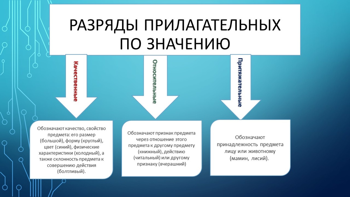 Таблица процессы жизнедеятельности и значение 6 класс. Таблица процессы жизнедеятельности и значение 6 класс