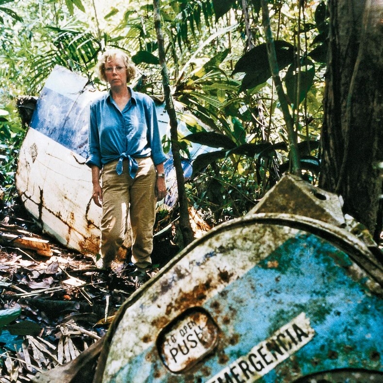 Картинка из свободных источников