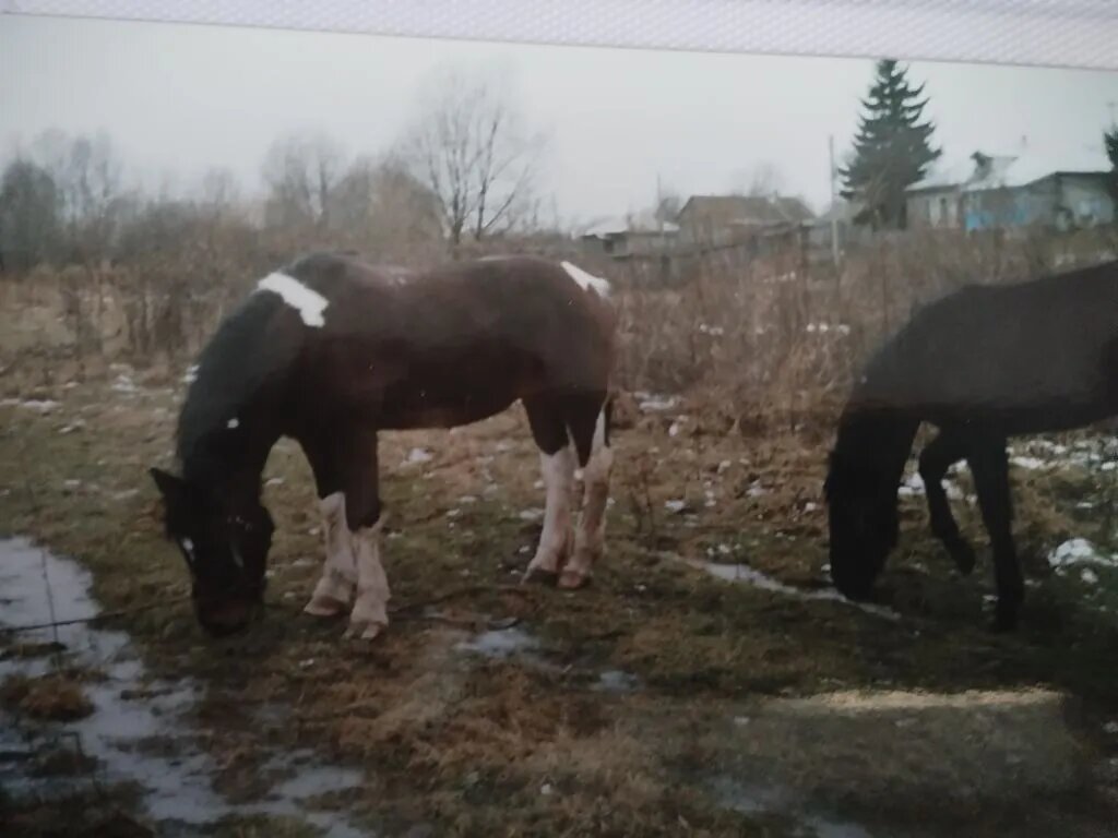 Январь много лет назад.