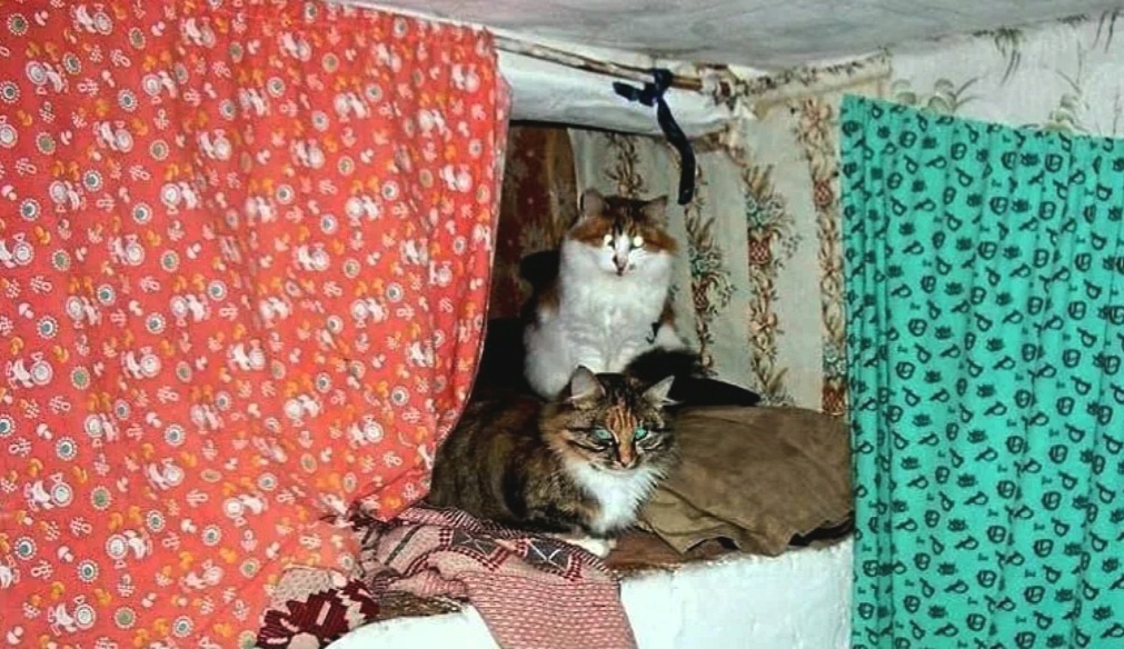 Высоко сидим, далеко глядим ->->->