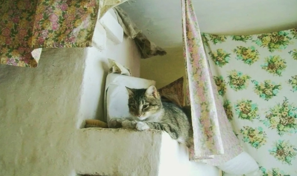 Опаньки, вот значит где ты живешь мышка...Не зря сюда взобралась 