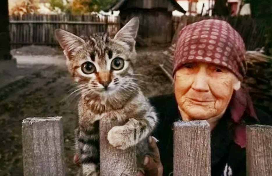 Мы ждем тебя, в наш прекрасный и уютный домик с печкой ->->->