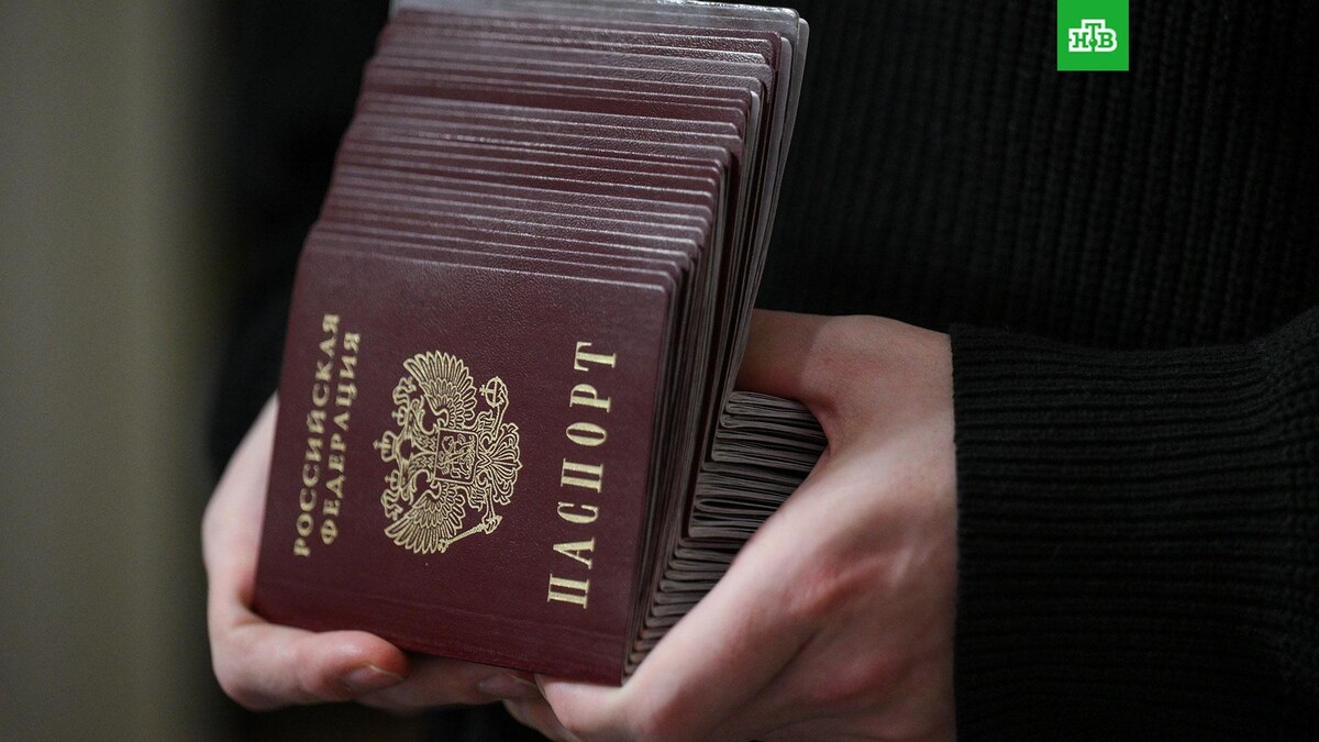    Фото: РИА Новости © 2025, Александр Кряжев