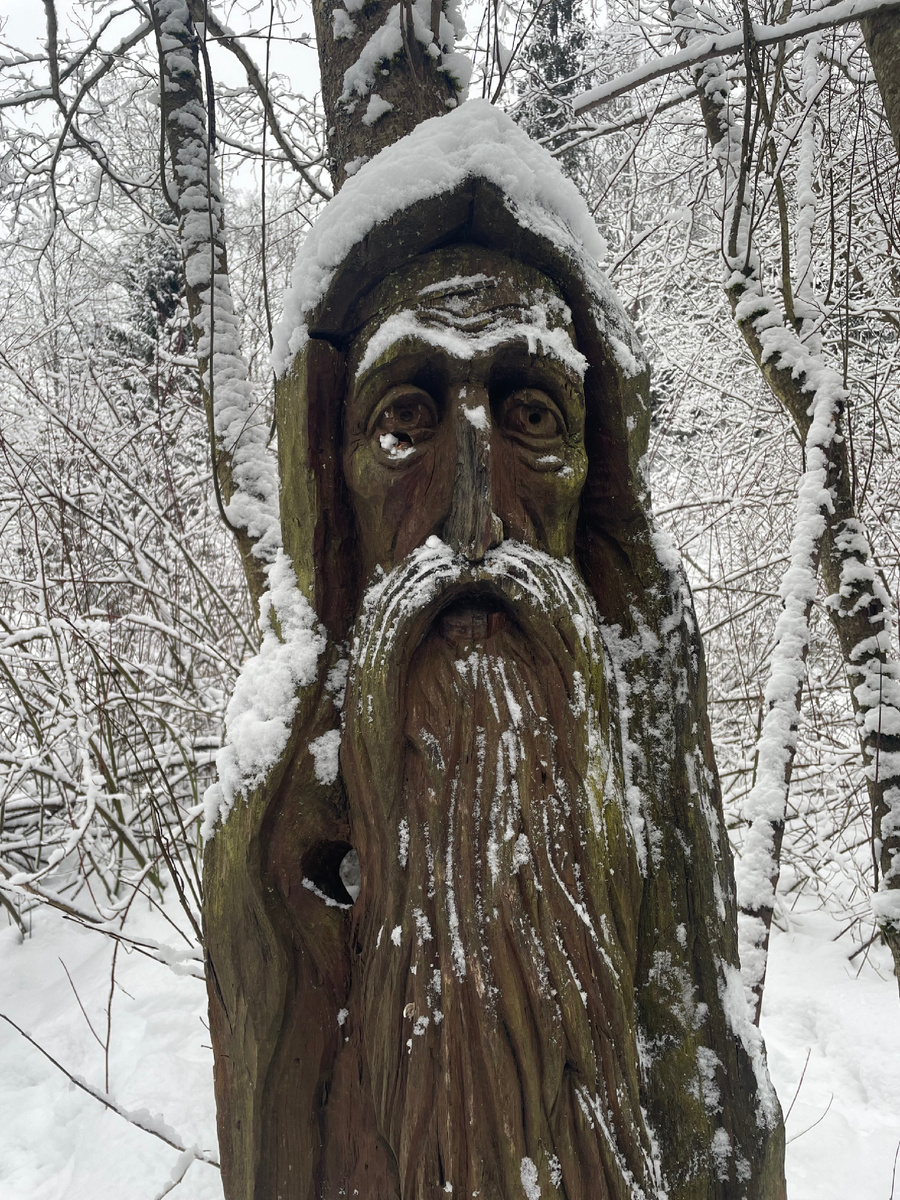 Покой Истринского леса охраняют деревянные лики. Праобразом этого лесного старца охранника стал прп.Серафим Саровский