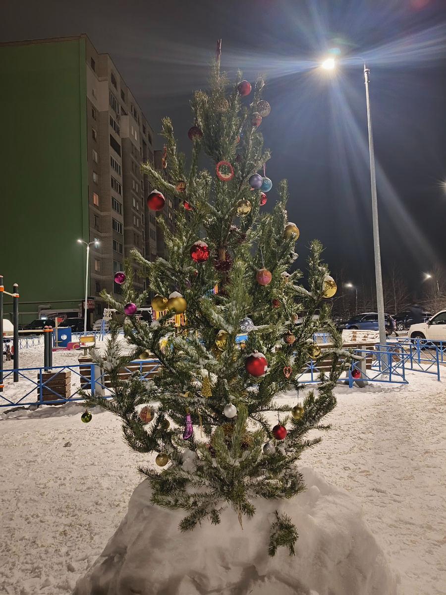 Фото автора. Вторая ёлка перед домом 