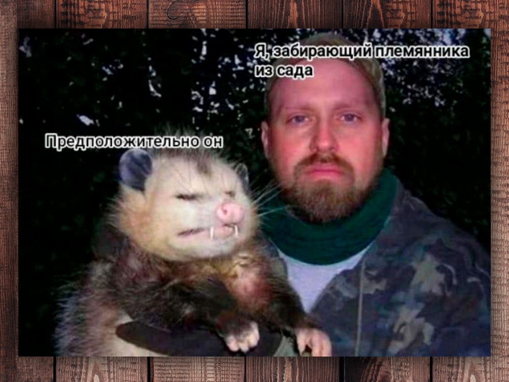 Фото с просторов интернета