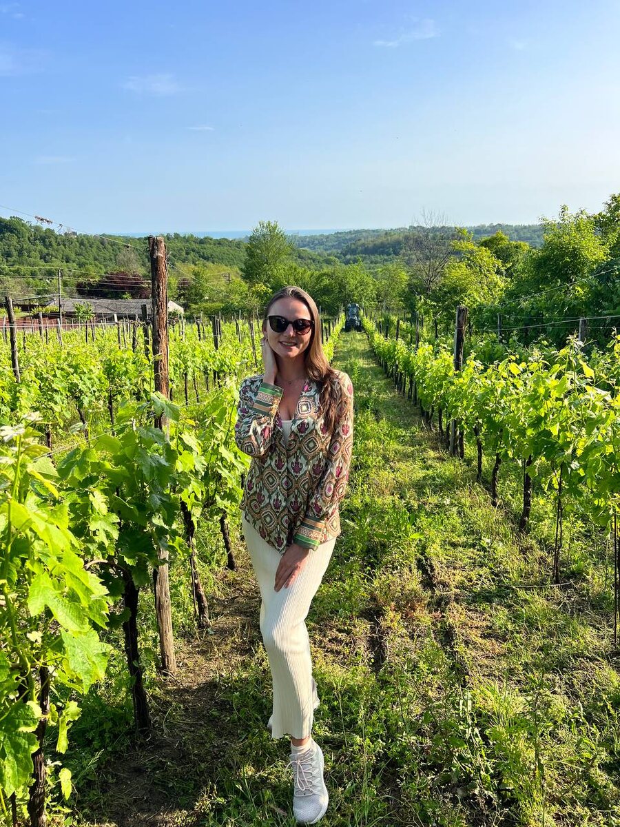 Виноградники Гудаутского района