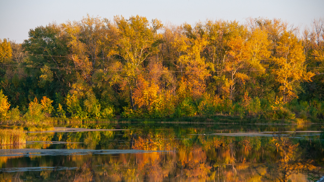    Svetlana Vozmilova/Globallookpress
