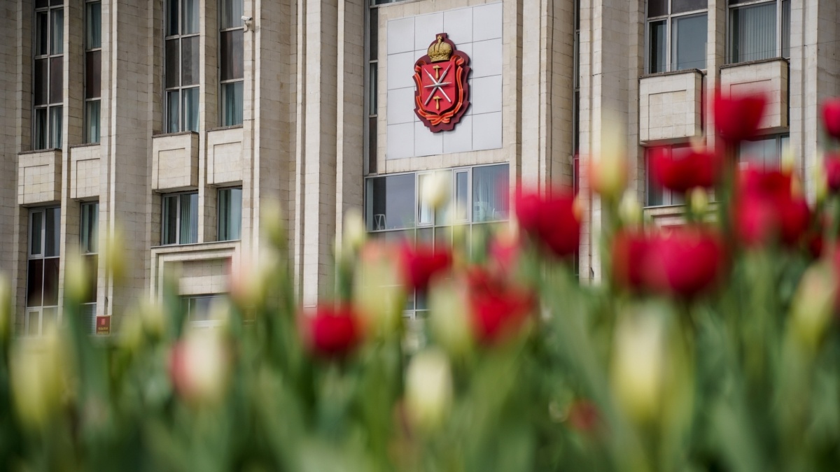 Светлана Мулыкина📷
