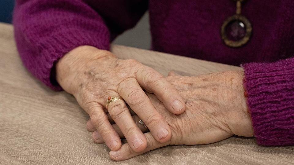    Фото: pixabay.com